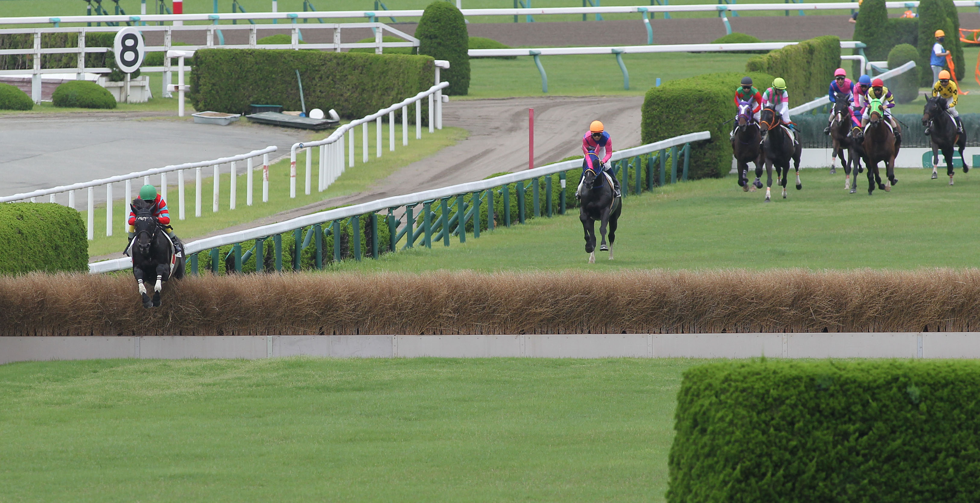 小倉サマージャンプ 新星ブレイクスピアー重賞制覇へ挑む 日刊ゲンダイ競馬