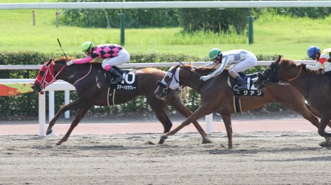 播磨政勝 日刊ゲンダイ競馬