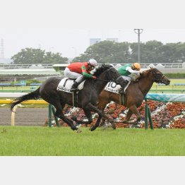 新馬Ｖは東京の不良馬場