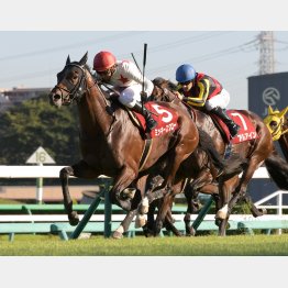17年は3、4枠で決着