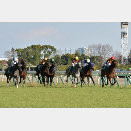 2歳時はデイリー杯クイーンCで②着(大外)