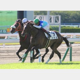 前回は完勝だった