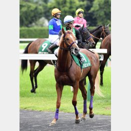 ラジオNIKKEI賞は5馬身差の圧勝