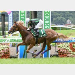 前走は5馬身差