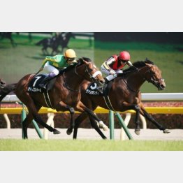 昨年の夏木立賞勝ち
