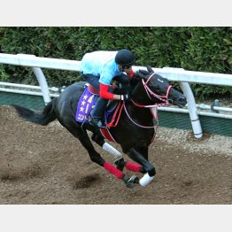 文句なしのA評価