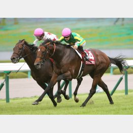 16年はミッキーロケットが首差②着
