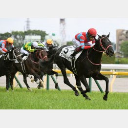 無敗で2冠制覇