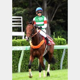 ①着センテリュオ(戸崎騎手)「流れが向いたにせよ、差し切れたのは力がある証拠」