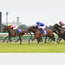 18年は11番人気ラブカンプーが②着
