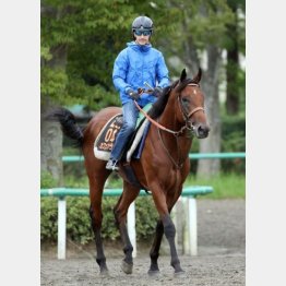 1週前はルメールが騎乗