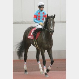 ローズSを快勝