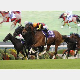 12年のジェンティルドンナは鼻差
