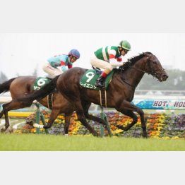 昨年は同じコースのエプソムCで0秒1差②着