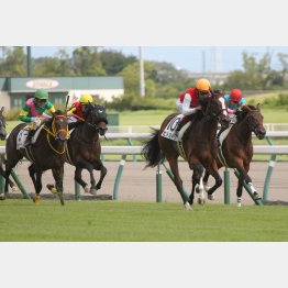 デビュー戦は好内容だった