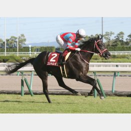 神戸新聞杯は2馬身差