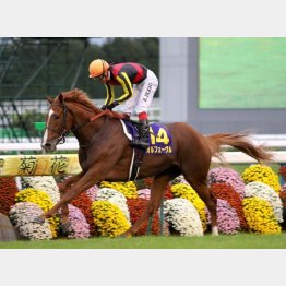 11年はオルフェーヴルが3冠達成