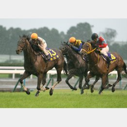 17年は別路線組が②③着でビッグ馬券