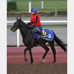 1週前追いも池添がまたがった