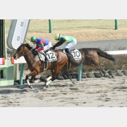 3月に2勝クラスをV
