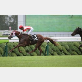 高雄特別で2連勝