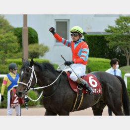 春の京都新聞杯勝ち