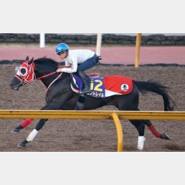 先週は主戦がまたがった