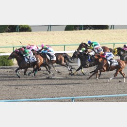 2勝クラス勝ちも京都7Fダートだったタガノプレトリア