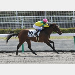 未勝利戦は2番手抜け出しからの快勝