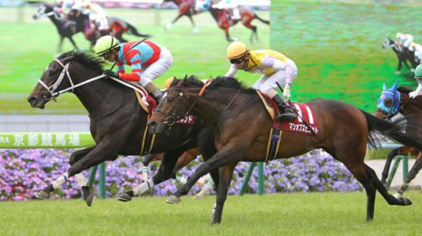 舩山陽司 | 日刊ゲンダイ競馬