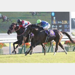 首差の接戦に持ち込んだ