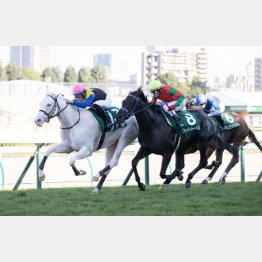 札幌2歳Sをレコード勝ち