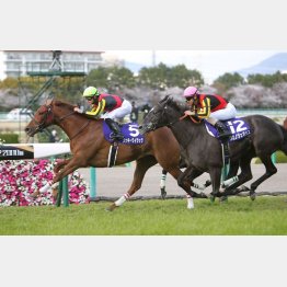 大阪杯はラッキー、クロノでワン・ツー