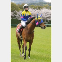 阪神牝馬Sで重賞3連勝