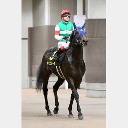 先週はオーソクレースがアイビーS勝ち