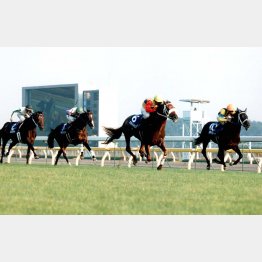 12頭立てだった98年は馬連万馬券