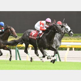 3歳時に毎日王冠を差し切り