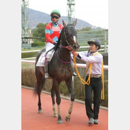 良馬場で飛んでくる