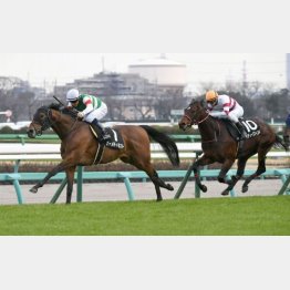 富里特別を快勝