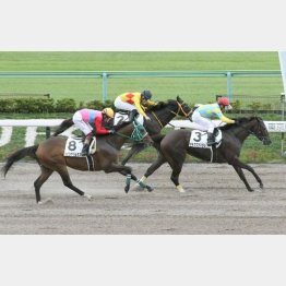 前走③着はスタートで大きな不利