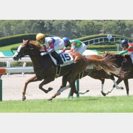 スパッと切れて新馬勝ち