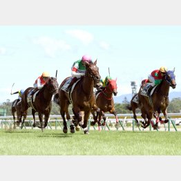 新馬勝ちは決め手が目立った