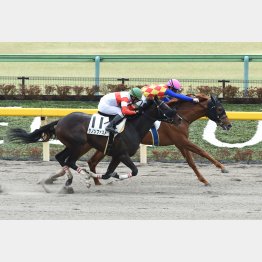 2勝目を挙げたのも2カ月ぶりだった