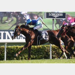 昨年暮れの香港マイルを勝利