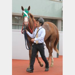 障害2戦目で一変する