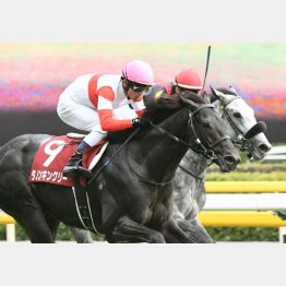 毎日王冠を快勝