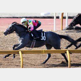 2歳馬離れした強靭な脚力