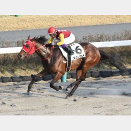 3月に中山で2勝クラスを卒業
