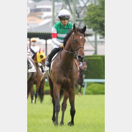 開幕週の馬場で後続を封じる