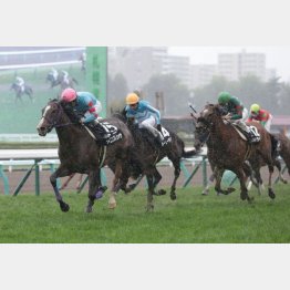 小樽特別を2馬身差完勝